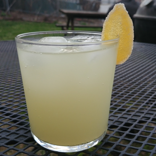 cold brewed lime ginger syrup Hudson Standard Ginger bitters seltzer