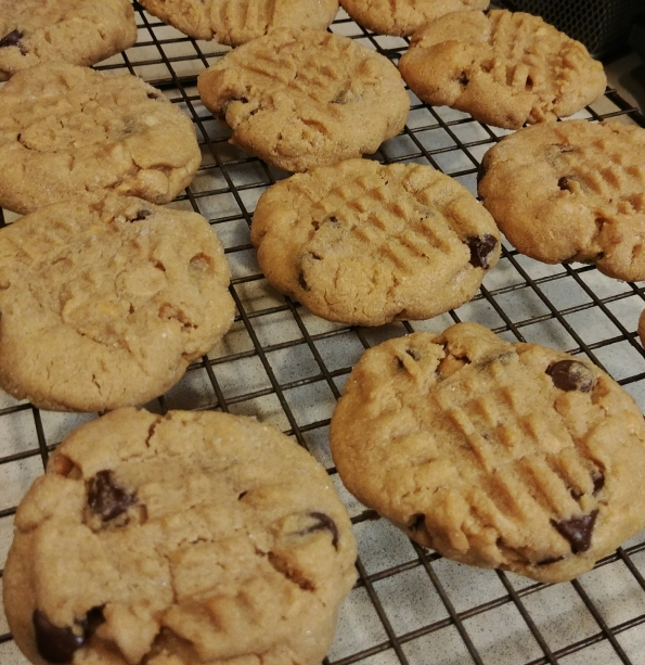 peanut butter chocolate chip cookies glass animals